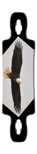 Design 424092 Skateboards, Longboards and Grip Tape