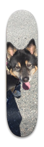 Design 424799 Skateboards, Longboards and Grip Tape Image