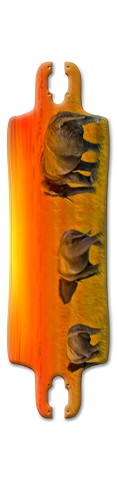 Design 425166 Skateboards, Longboards and Grip Tape