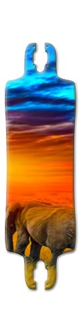 Design 425168 Skateboards, Longboards and Grip Tape