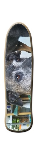 Design 425258 Skateboards, Longboards and Grip Tape Image