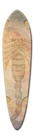 Design 428466 Skateboards, Longboards and Grip Tape