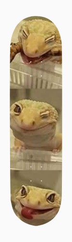 Design 429161 Skateboards, Longboards and Grip Tape Image