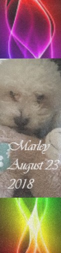 Marley