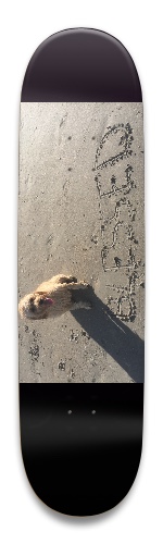 Design 432965 Skateboards, Longboards and Grip Tape Image