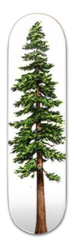 Design 434346 Skateboards, Longboards and Grip Tape
