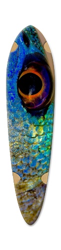 Design 439090 Skateboards, Longboards and Grip Tape Image