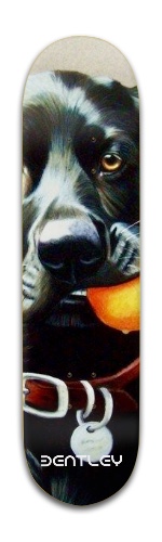 Design 439568 Skateboards, Longboards and Grip Tape Image