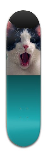 Design 439793 Skateboards, Longboards and Grip Tape Image