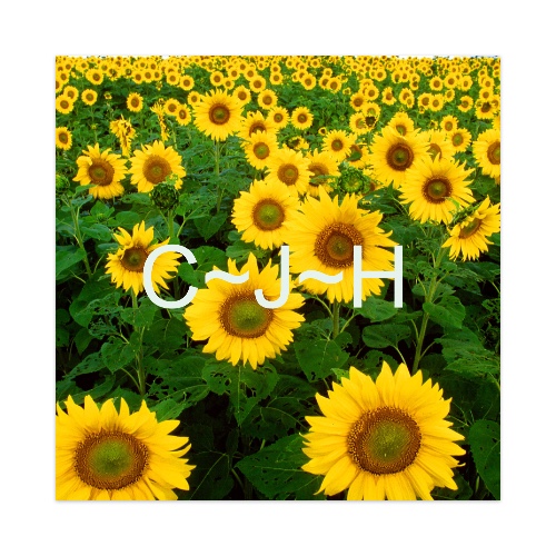 Design 439881