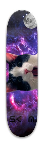 trippy cat