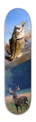 Design 443713 Skateboards, Longboards and Grip Tape