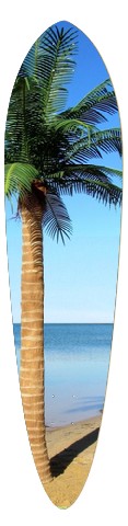 Design 444167