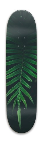 Design 446119 Skateboards, Longboards and Grip Tape Image