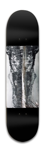 Design 446433