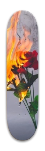 Design 446736