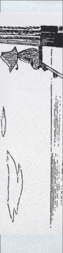 Design 451903