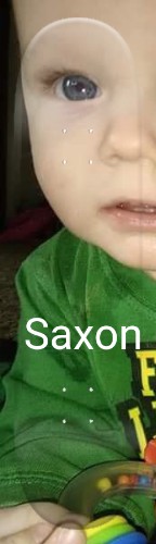 Design 452319 Skateboards, Longboards and Grip Tape Image