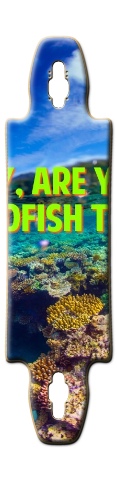 Design 45258 Skateboards, Longboards and Grip Tape