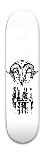 Design 453271 Skateboards, Longboards and Grip Tape Image