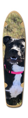 Design 454876 Skateboards, Longboards and Grip Tape Image