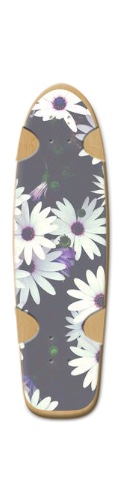 Design 455647 Skateboards, Longboards and Grip Tape