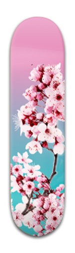 Design 456533