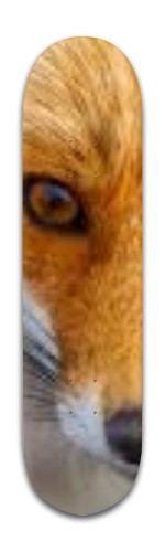 Design 457015 Skateboards, Longboards and Grip Tape Image