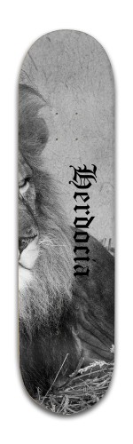 Design 459155 Skateboards, Longboards and Grip Tape Image