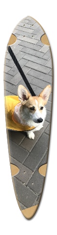 Design 459156 Skateboards, Longboards and Grip Tape Image