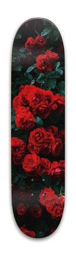 Design 459429
