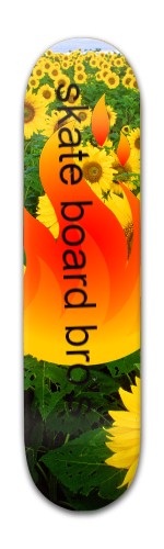 skate board for pro's