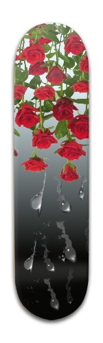 Design 460555 Skateboards, Longboards and Grip Tape