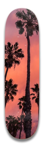 Design 461292 Skateboards, Longboards and Grip Tape Image