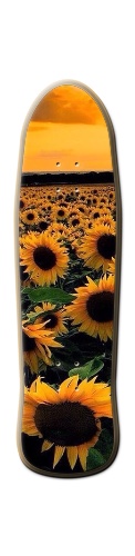 Design 463915 Skateboards, Longboards and Grip Tape