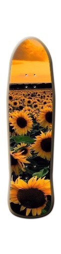 Design 463916 Skateboards, Longboards and Grip Tape