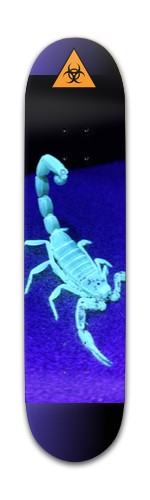 Design 463936 Skateboards, Longboards and Grip Tape