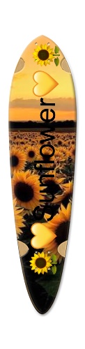 Design 465879 Skateboards, Longboards and Grip Tape Image