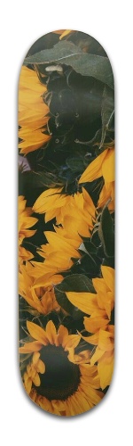 Design 466452 Skateboards, Longboards and Grip Tape