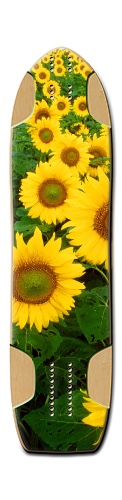 Design 466694 Skateboards, Longboards and Grip Tape
