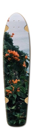 Design 466832 Skateboards, Longboards and Grip Tape Image