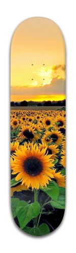 Design 468061 Skateboards, Longboards and Grip Tape Image
