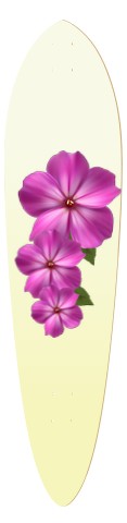Design 469214 Skateboards, Longboards and Grip Tape