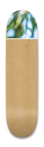 Design 469889