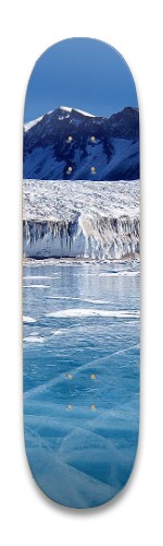 Design 471486 Skateboards, Longboards and Grip Tape Image