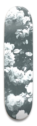 Design 472083 Skateboards, Longboards and Grip Tape Image