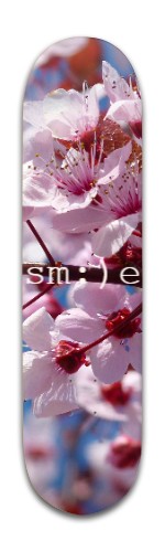 Design 472512 Skateboards, Longboards and Grip Tape
