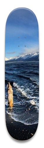 Design 473133 Skateboards, Longboards and Grip Tape Image