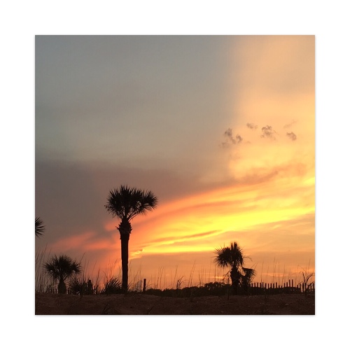 Design 473145 Skateboards, Longboards and Grip Tape Image