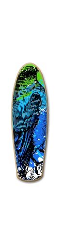 Design 473179 Skateboards, Longboards and Grip Tape Image